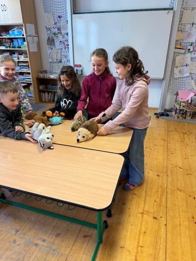 Plyšákový týden Image